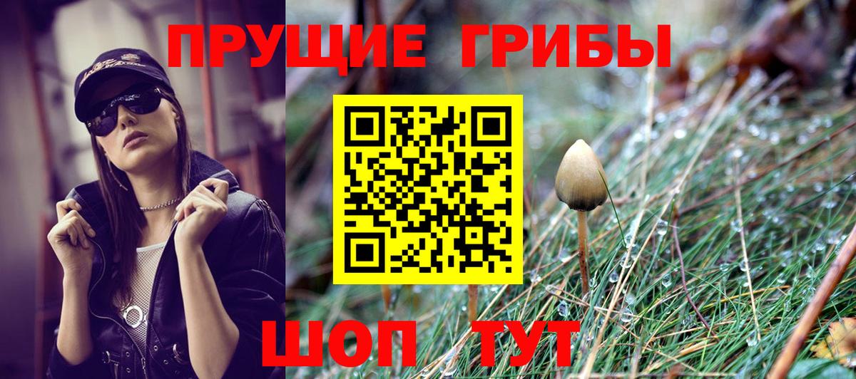 Псилоцибиновые грибы Psilocybe Сухой Лог