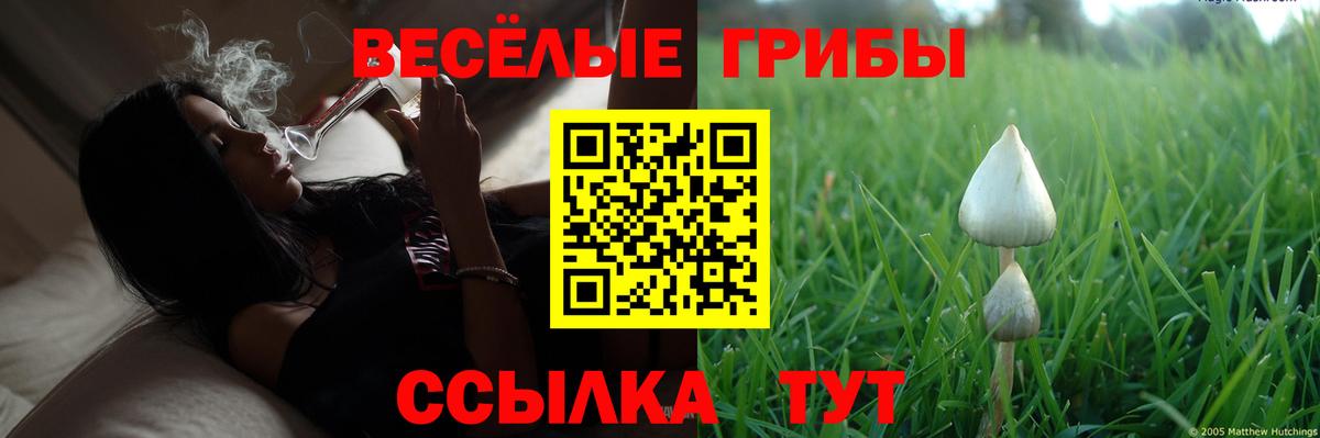 Сухой Лог  Псилоцибиновые грибы Psilocybine cubensis  Вход с VPN  Галлюциногенные грибы Psilocybine cubensis 